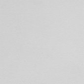 Панель глянец светло-серый  Р116 10*1220*2800 Kastamonu
