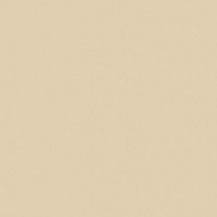 Столешница Бежевый Глянец (416Г) 38*600*3050 1U Столешница Бежевый Глянец (416Г) 38*600*3050 1U