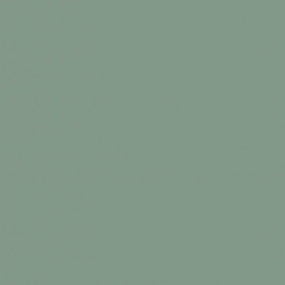 Кромка мат. мята P010/735 22*0,8 ПВХ HUALI без з.п. Кромка мат. мята P010/735 22*0,8 ПВХ HUALI без з.п.