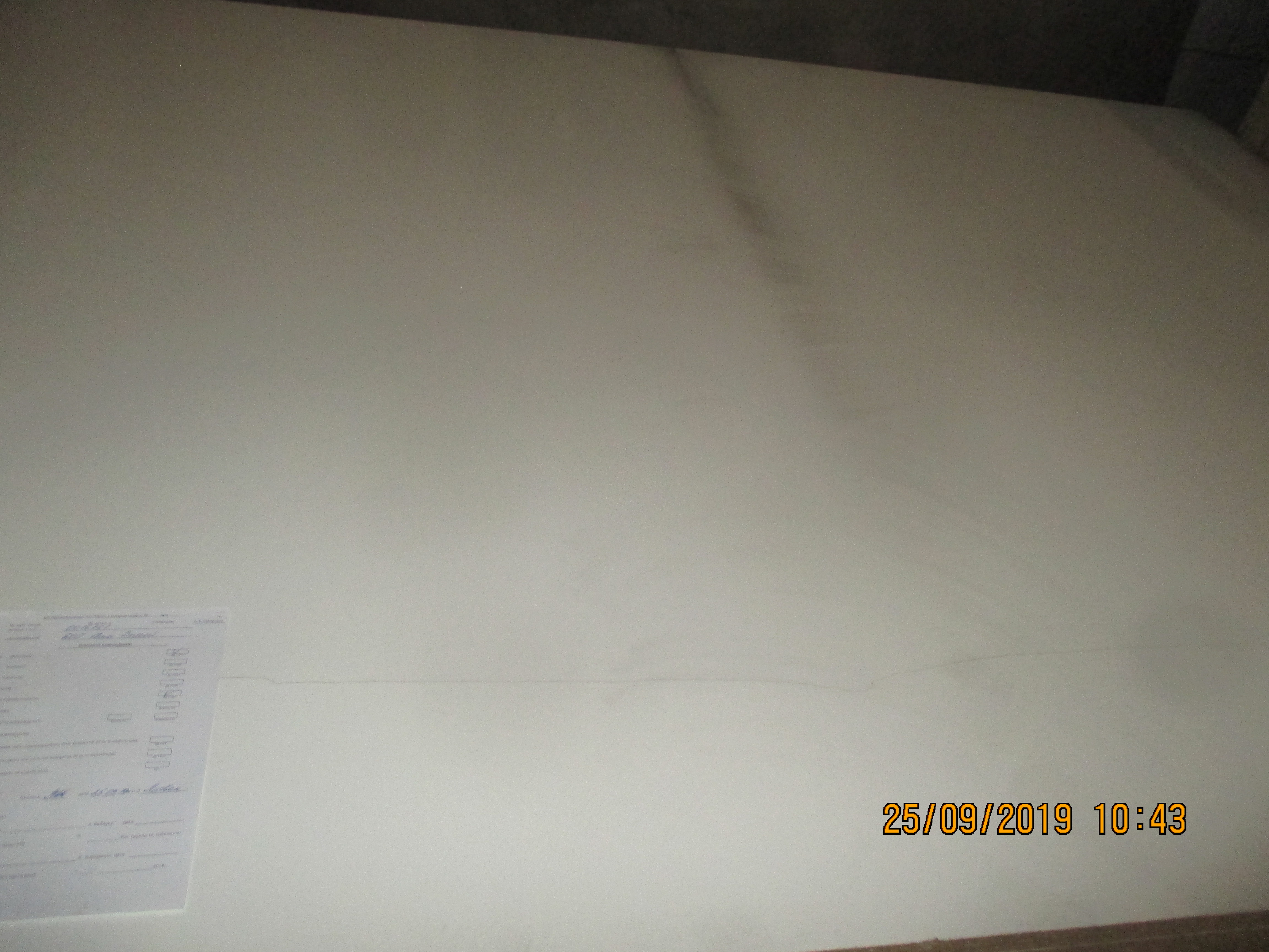 ЛДСП Белый 101/3341 16*2800*2070 поры дерева(PR) н/к