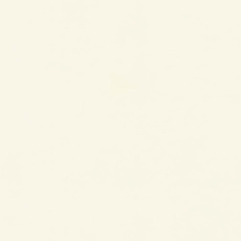 Столешница Белый Глянец (10Г/10СК/1110S) 38*600*4200 1U