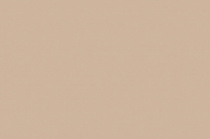 Кромка мат. вижен капучино P008/P732/7498 22*0,8 ПВХ HUALI без з.п.