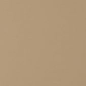 Кромка мат. вижен капучино P008/732/7498 22*1 ПВХ T1