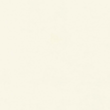 Столешница Белый Глянец (10Г/10СК/1110S) 38*600*4200 1U