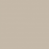 Кромка мат. новый серый  P729 (ОпалМилкшейк EVS016) 22*0,8 ПВХ HUALI без з.п.