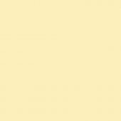 Панель глянец светло-желтый  P109 8*1220*2800 Kastamonu