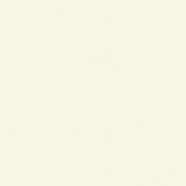 Панель стен. Белый  (10М/10СК/1110S) 3050*1200*4