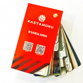 Образцы Kastamonu веер EVOGLOSS