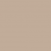 Кромка матовый Капучино ACM004 (Senosan 7498) 22*0,8 ABS K без з.п.