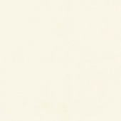 Столешница Белый (10М/10СК/1110S) 38*600*4200 1U