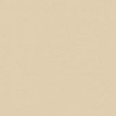 Столешница Бежевый Глянец (416Г) 38*600*3050 1U