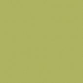 Кромка  ПВХ  зелёный океанский 8996 19*0,4